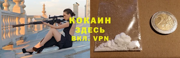 прущий лед Алзамай