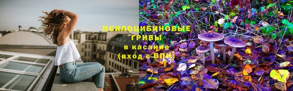 СК Абдулино