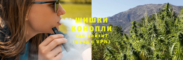гидра Алексин